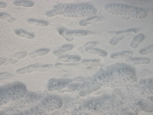dscn6003.jpg