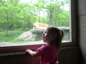 dscn6345.jpg