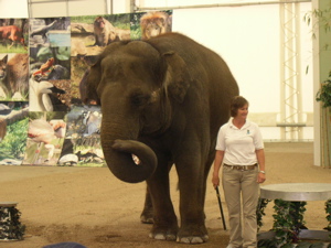dscn6351.jpg