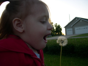 dscn6438.jpg