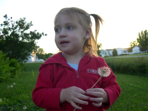 dscn6443.jpg