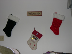 dscn7879.jpg