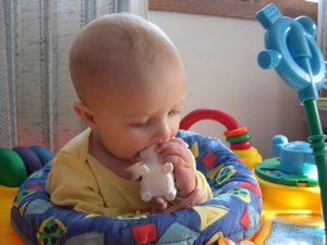 dscn8239.jpg