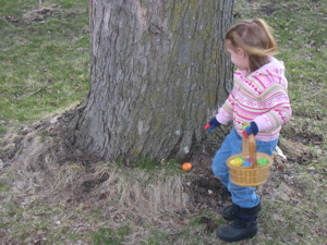 dscn8526.jpg
