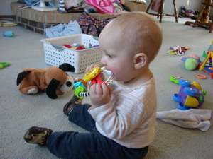 dscn8560.jpg